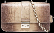 Miss Dior Handbags Winter 2012