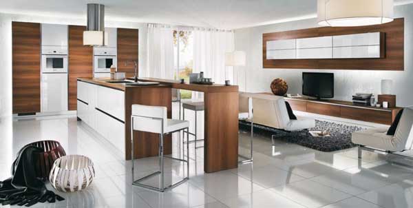 French kitchen cabinets design ideas by Mobalpa